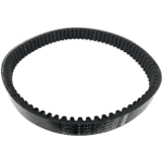 17*6*600 Cinghia Variabile