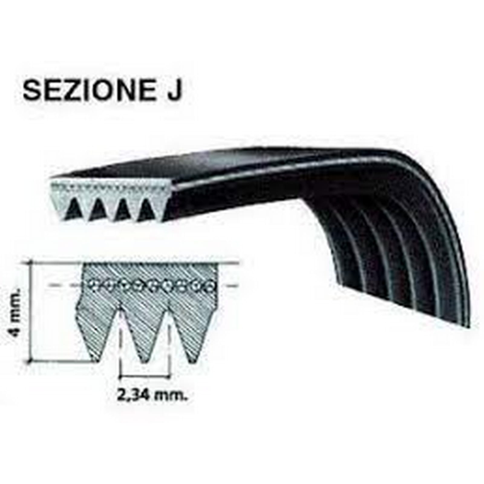 13938 -- 000 (14297) 483 J 6 Cinghia - immagine 1