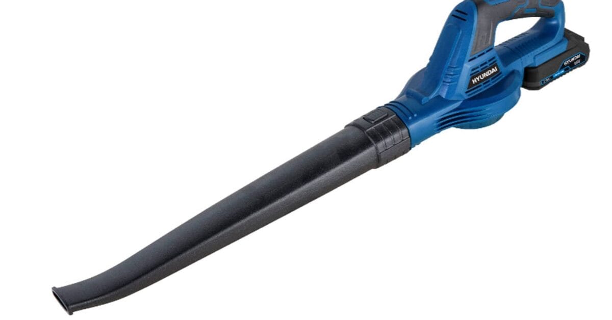 Soffiatore elettrico senza fili in sconto a soli 26 Soffiatore elettrico senza fili in sconto a soli 26