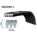 950 J 12 Cinghia