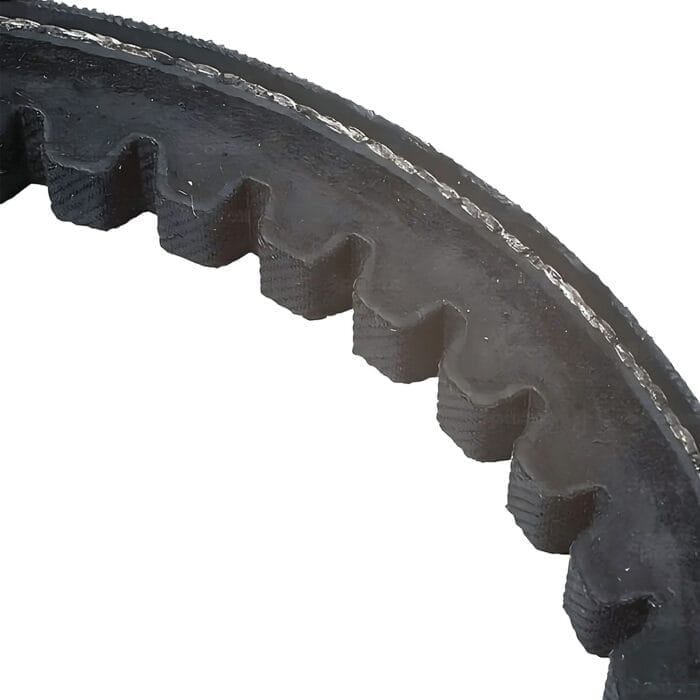 SPZX 1312 Cinghia - immagine 1