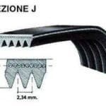 1143 J 16 Cinghia