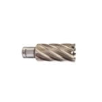 Fresa HSS Weldon 29*50 Milwaukee
4932343304