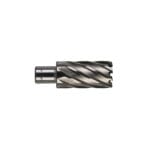 Fresa HSS Weldon 30*50 Milwaukee
4932343305