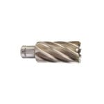 Fresa HSS Weldon 31*50 Milwaukee
4932343306