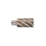 Fresa HSS Weldon 35*50 Milwaukee
4932371762