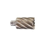 Fresa HSS Weldon 42*50 Milwaukee
4932371769