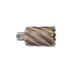 Fresa HSS Weldon 44*50 Milwaukee
4932371771