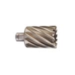 Fresa HSS Weldon 46*50 Milwaukee
4932371773